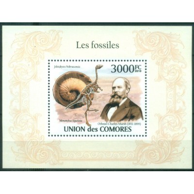 Los Fósiles